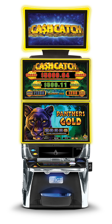 ANZ - Cash Catch - Panthers Gold